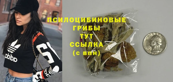 прущие крисы Лабытнанги