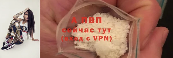 прущие крисы Лабытнанги