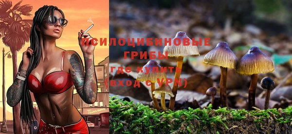 прущие крисы Лабытнанги