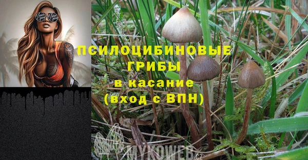 эйфоретик Лагань