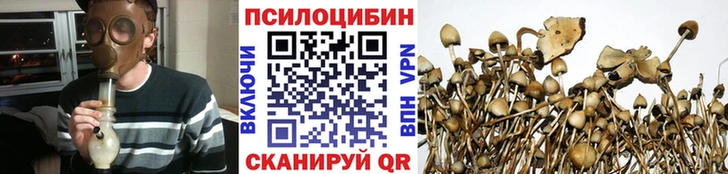 Купить где  Северская  Галлюциногенные грибы ЛСД 