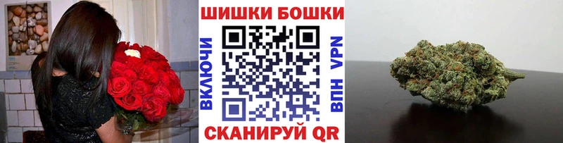 Купить закладки  Северская  Канабис планчик 
